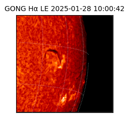 gong - 2025-01-28T10:00:42