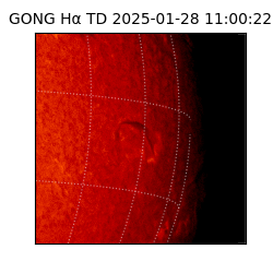 gong - 2025-01-28T11:00:22
