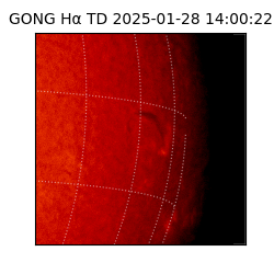 gong - 2025-01-28T14:00:22