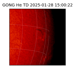 gong - 2025-01-28T15:00:22