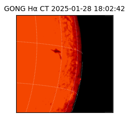 gong - 2025-01-28T18:02:42