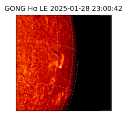 gong - 2025-01-28T23:00:42