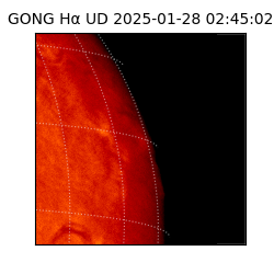 gong - 2025-01-28T02:45:02
