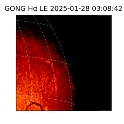 gong - 2025-01-28T03:08:42