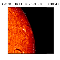 gong - 2025-01-28T08:00:42