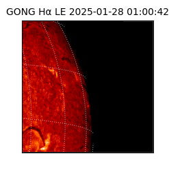 gong - 2025-01-28T01:00:42
