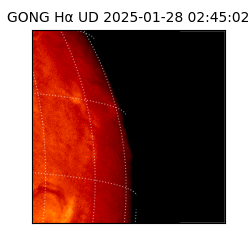 gong - 2025-01-28T02:45:02