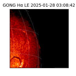 gong - 2025-01-28T03:08:42