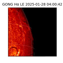 gong - 2025-01-28T04:00:42