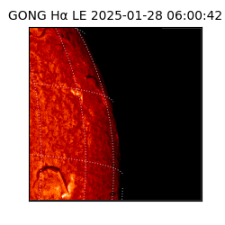 gong - 2025-01-28T06:00:42
