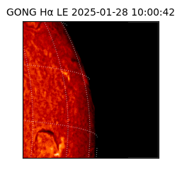 gong - 2025-01-28T10:00:42