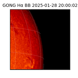 gong - 2025-01-28T20:00:02