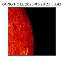 gong - 2025-01-28T23:00:42
