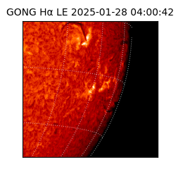 gong - 2025-01-28T04:00:42