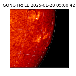 gong - 2025-01-28T05:00:42