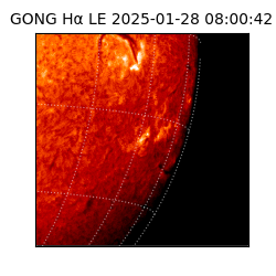 gong - 2025-01-28T08:00:42