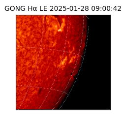 gong - 2025-01-28T09:00:42