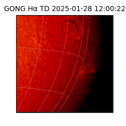 gong - 2025-01-28T12:00:22
