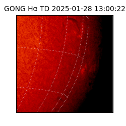 gong - 2025-01-28T13:00:22