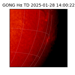 gong - 2025-01-28T14:00:22