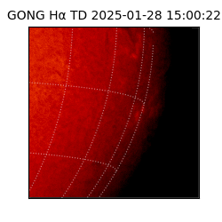 gong - 2025-01-28T15:00:22