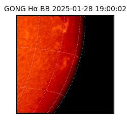 gong - 2025-01-28T19:00:02