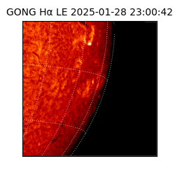 gong - 2025-01-28T23:00:42
