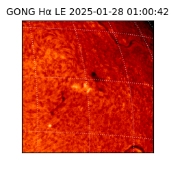 gong - 2025-01-28T01:00:42