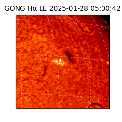 gong - 2025-01-28T05:00:42