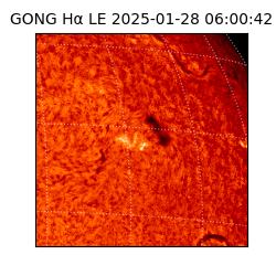 gong - 2025-01-28T06:00:42