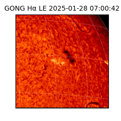 gong - 2025-01-28T07:00:42