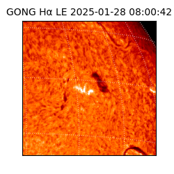 gong - 2025-01-28T08:00:42