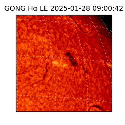 gong - 2025-01-28T09:00:42
