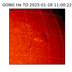 gong - 2025-01-28T11:00:22