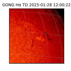 gong - 2025-01-28T12:00:22