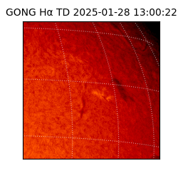 gong - 2025-01-28T13:00:22