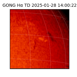 gong - 2025-01-28T14:00:22
