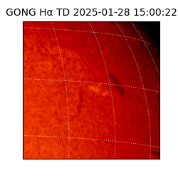 gong - 2025-01-28T15:00:22