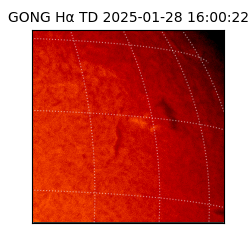 gong - 2025-01-28T16:00:22