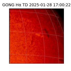 gong - 2025-01-28T17:00:22