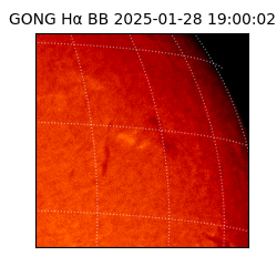 gong - 2025-01-28T19:00:02