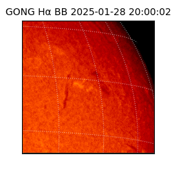 gong - 2025-01-28T20:00:02
