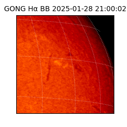 gong - 2025-01-28T21:00:02