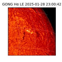 gong - 2025-01-28T23:00:42