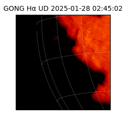 gong - 2025-01-28T02:45:02