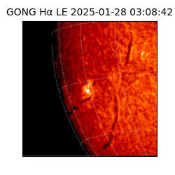 gong - 2025-01-28T03:08:42