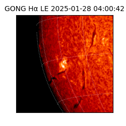 gong - 2025-01-28T04:00:42