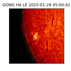 gong - 2025-01-28T05:00:42