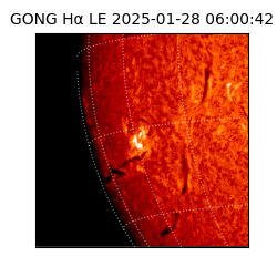 gong - 2025-01-28T06:00:42