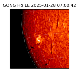 gong - 2025-01-28T07:00:42
